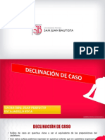 13ra. Clase Declinacion Caso PDF