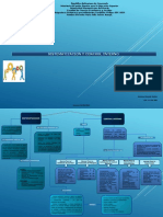 Mapa Conceptual Sistematizacion y Control Interno