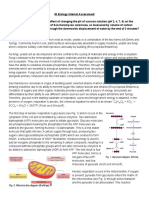 Effect of PH On Yeast Respiration Biology IA