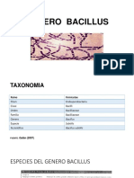 GENERO  Bacillus (1)