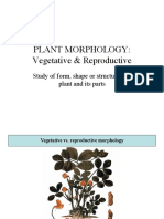 Plant Morphology: Vegetative & Reproductive: Study of Form, Shape or Structure of A Plant and Its Parts