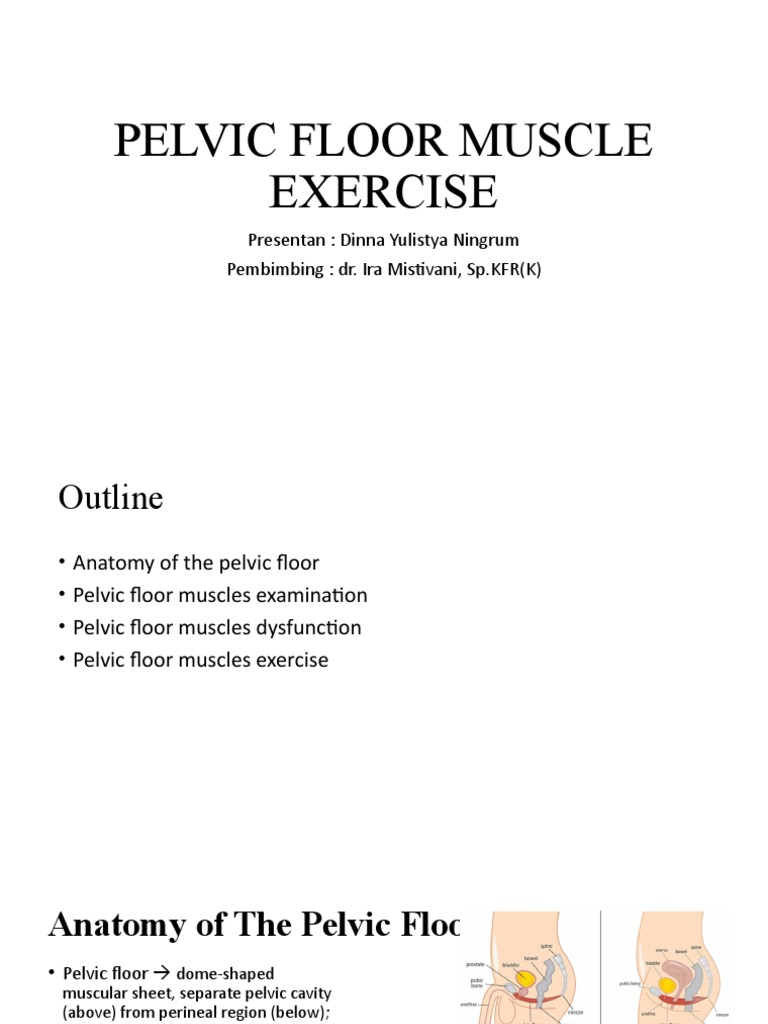 Pelvic Floor Muscle Exercise Guide | PDF | Pelvis | Musculoskeletal System