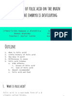 The Effect of Folic Acid On The Embryos Brain (Group 2)