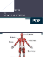 UNIT-6 Muscular System