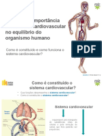 PP Sistema Cardiovascular