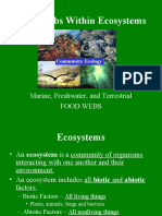 Food Webs Ecosystems