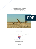 Evolutionary Ecology of Giraffes (Giraffa Camelopardalis) in Etosha National Park, Namibia