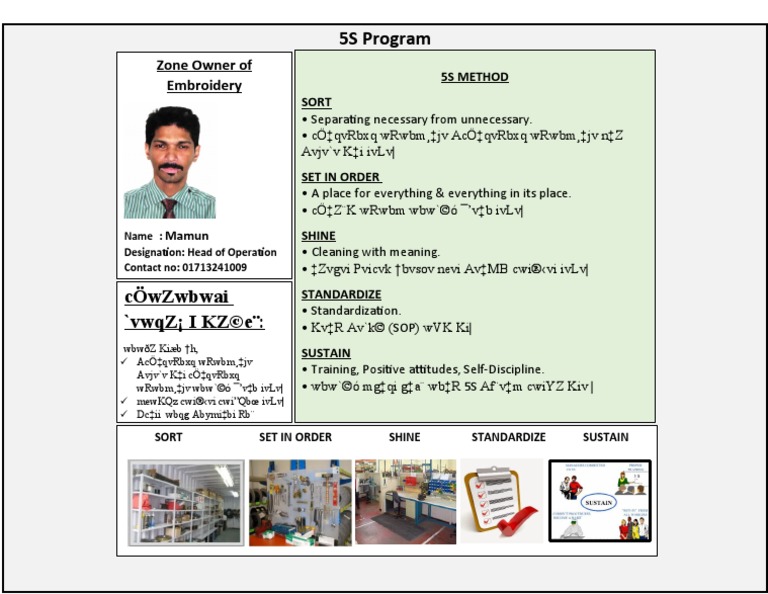 5S Program for Improved Workplace Organization | PDF