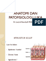 Anatomi Dan Patofisiologi Luka
