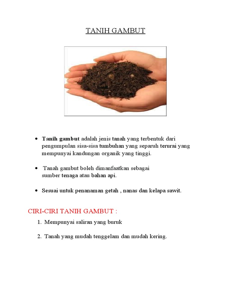 Tanih Gambut Pdf