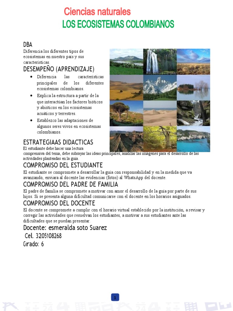 Ecosistemas Sexto | PDF | Ecosistema | Suelo