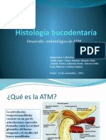 Embriologia ATM