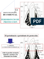 Clase 27 - Periodoncio de Proteccion