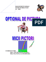 optionalpictura3
