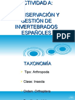 Invertebrados 101113041543 Phpapp02
