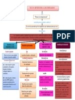 Mapa Conceptual Nic 19