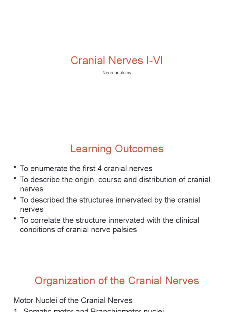 Cranial Nerves I-VI: Neuroanatomy | PDF | Human Head And Neck | Senses