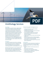 Ornithology Services 2p Flyer 2020