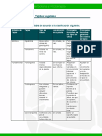 Tabla Comparativa Tejidos Vegetales