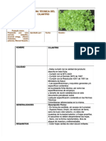 PDF Ficha Tecnica Del Cilantro - Compress