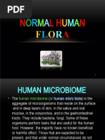 Normal Flora of Human