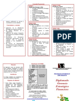 Triptico Diplomado Gerencia Estrategica Financiera