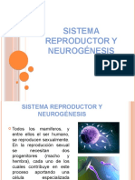 Practica 10 Sistema Reproductor