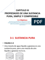 1 3 Capitulo III Sustancia Pura