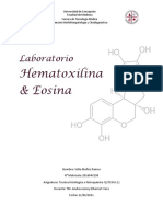 Informe Laboratorio de H&E