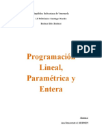 Programacio N Lineal Parametrica y Enter