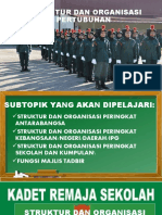 Struktur Dan Organisasi Pertubuhan