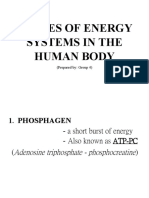 3 Types of Energy Systems in The Human Body