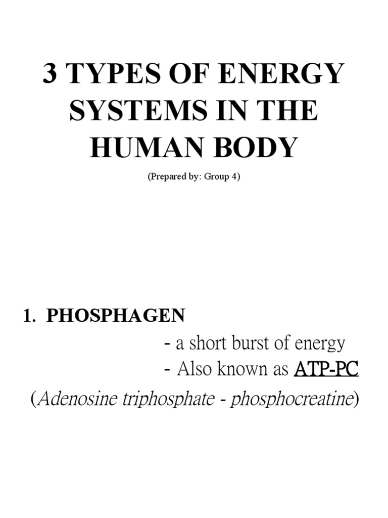 3 Types of Energy Systems in The Human Body PDF