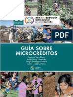 Guia Microcreditos