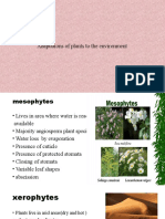 Adaptations of Plants To The Environment
