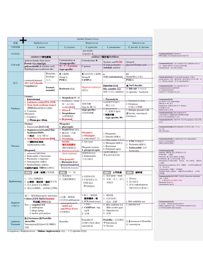 超強細菌表格 Pdf