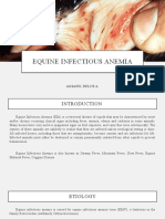 Equine Infectious Anemia