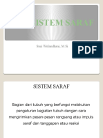 Sistem Saraf