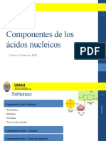 1.4 Componentes de Los Ácidos Nucleicos