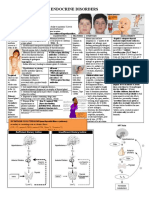 ENDOCRINE - BOARDS