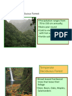 Temperate Deciduous Forest