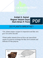 Cellular Respiration in Plants