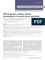 HPV16 Genetic Variation and The Development of Cervical Cancer Worldwide