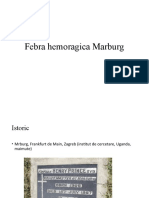 Febra Hemoragica Marburg