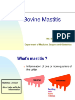 Bovine Mastitis