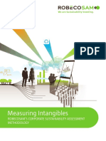 Robeco SAM Measuring Intangibles