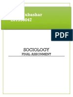 Sociology Final Assignment