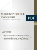 Non Dermatofita (Candidiasis)