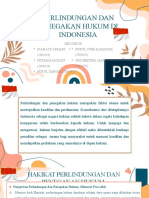 PERLINDUNGAN DAN PENEGAKAN HUKUM DI INDONESIA (Tugas Kelompok)