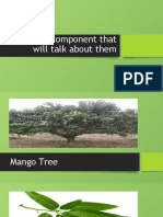 Tugas Speaking - 5 Components Mango Tree